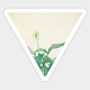 Peace Lily Sticker